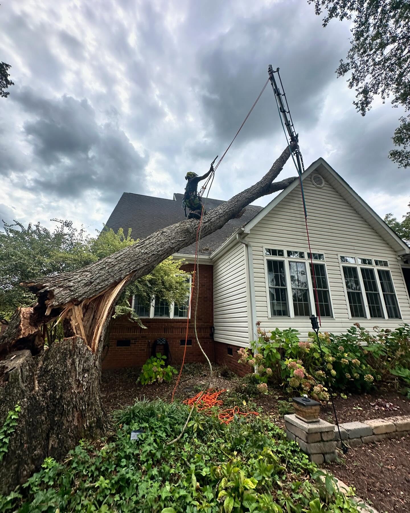 461935929_18059692786684150_1494498183508933507_n