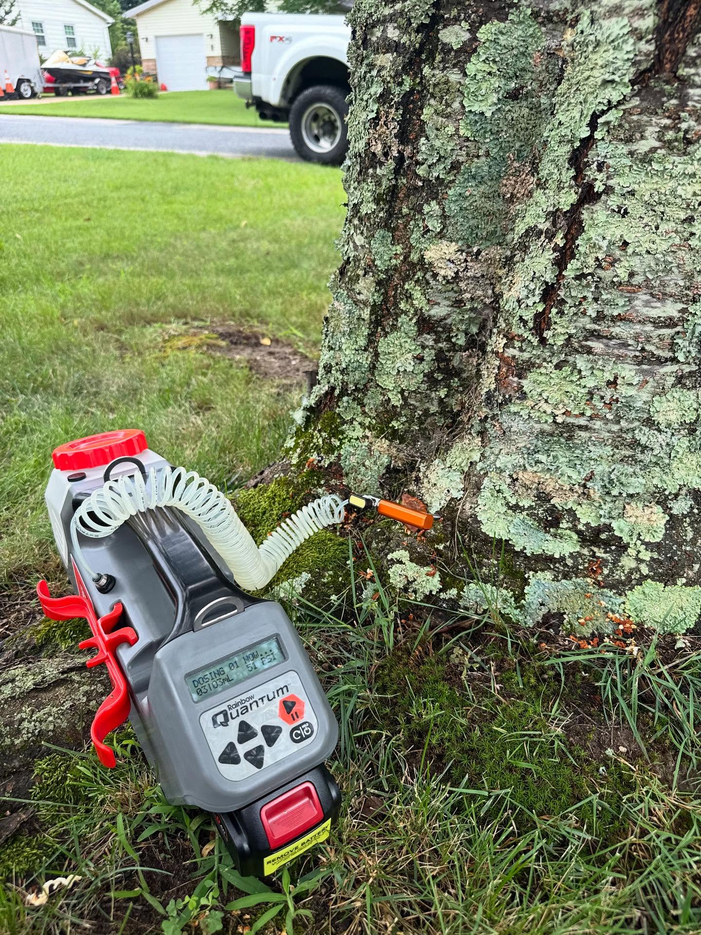 516713923_18085708993684150_6568626085973560120_n