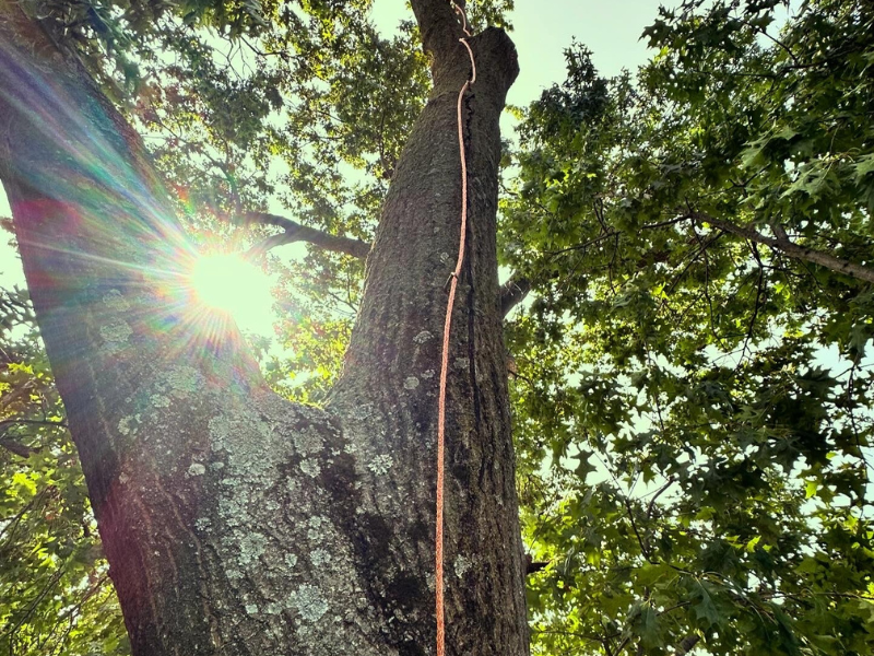 Lightning Protection