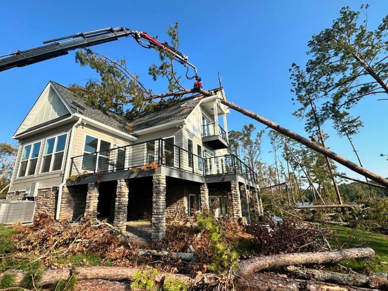 Shy Tree_Emergency Tree Removal3