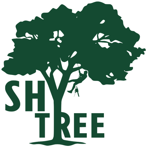 Shy Tree logo