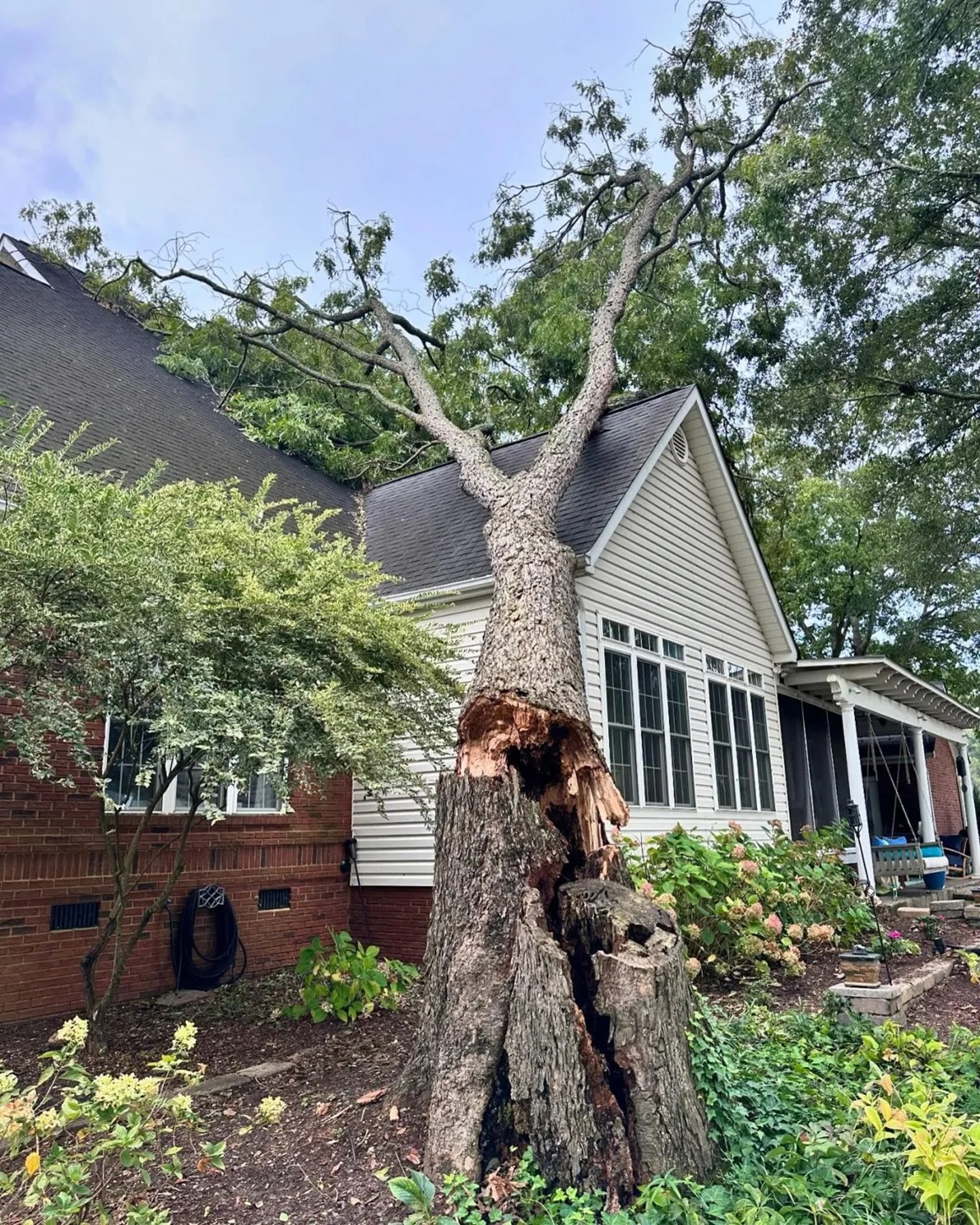 emergency tree removal for tree down on roof