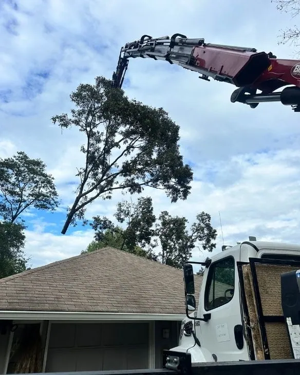 Grapple saw tree removal in Columbia MD during storm response