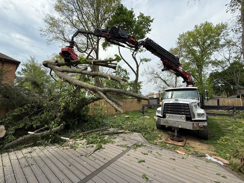 Emergency Tree Removal Columbia MD | Fast Crane Response