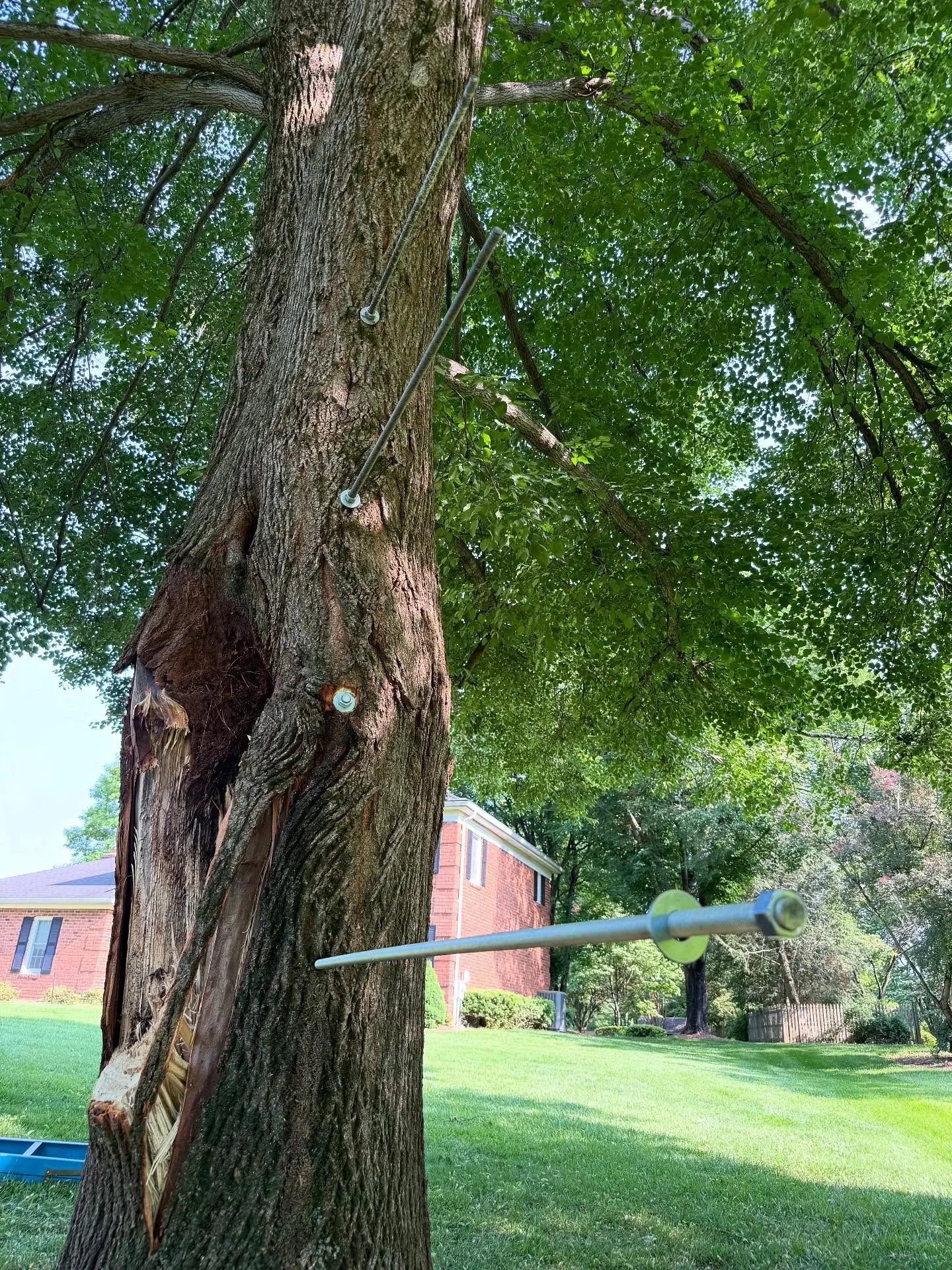 503399583_18082609300684150_80537559045341210_n