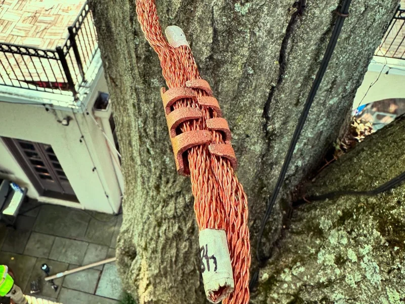 Lightning Protection Install