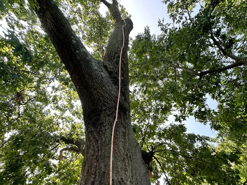 Lightning Protection2